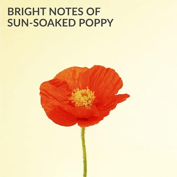 Far Away Endless Sun Eau de Parfum 50ml